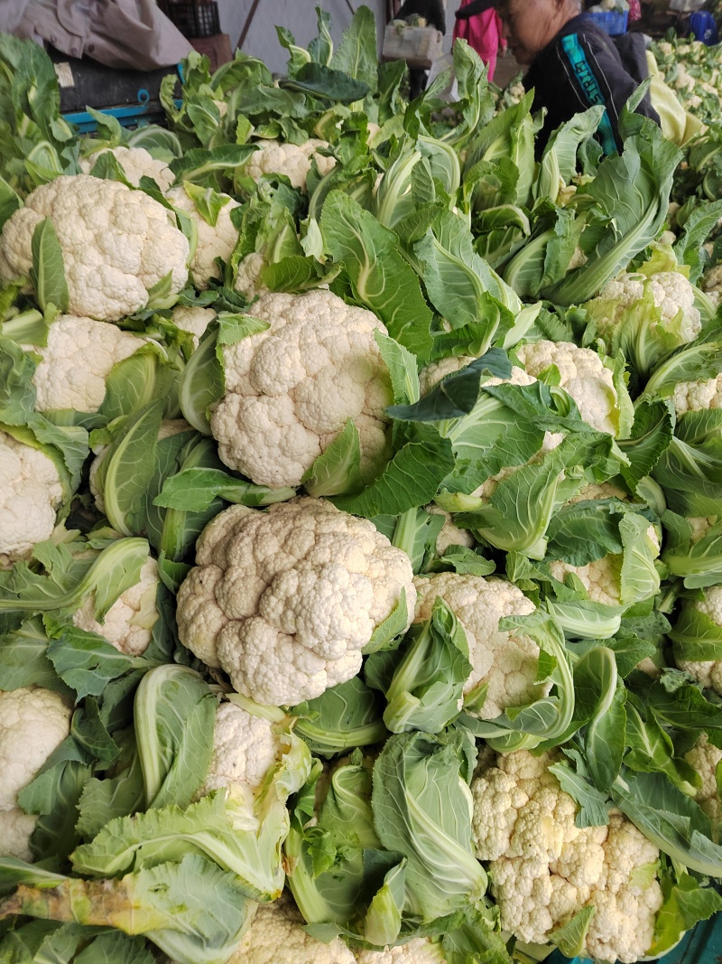 湖北花菜，紧花，实菜花，产地直发，对接大型加工厂