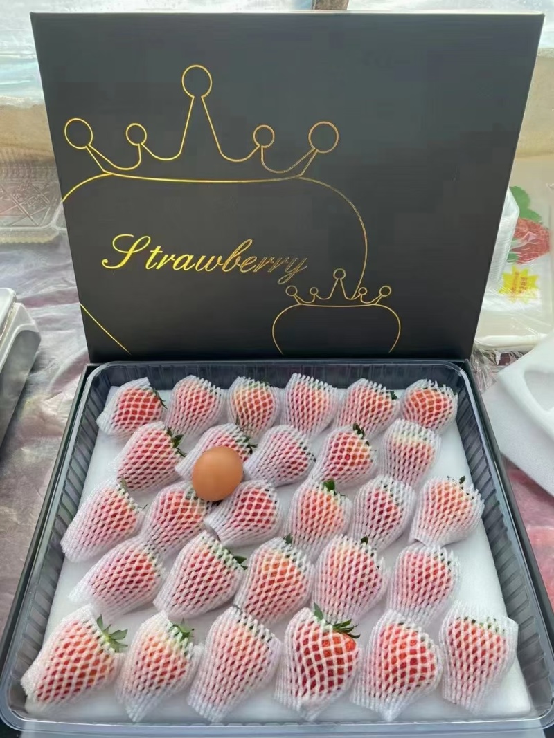 来电优惠丹东草莓99草莓红颜草莓品质正宗上乘现摘现发诚信合作