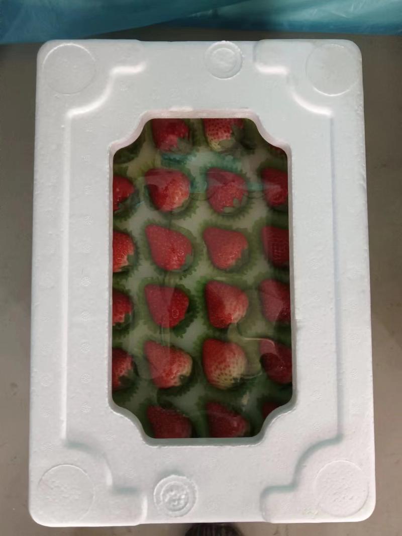 丹东红颜草莓99草莓丹东草莓精选货源实力代发一条龙