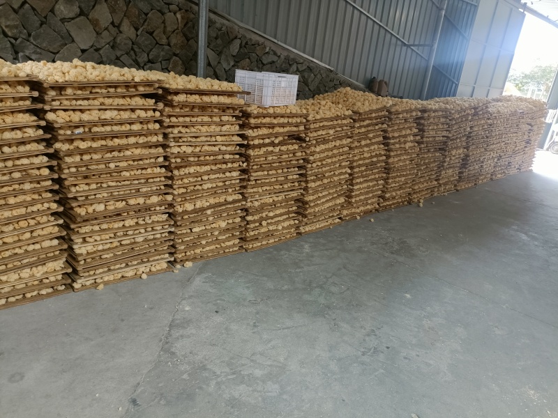 银耳椴木银耳小银耳通江银耳全国发货支持一件代发