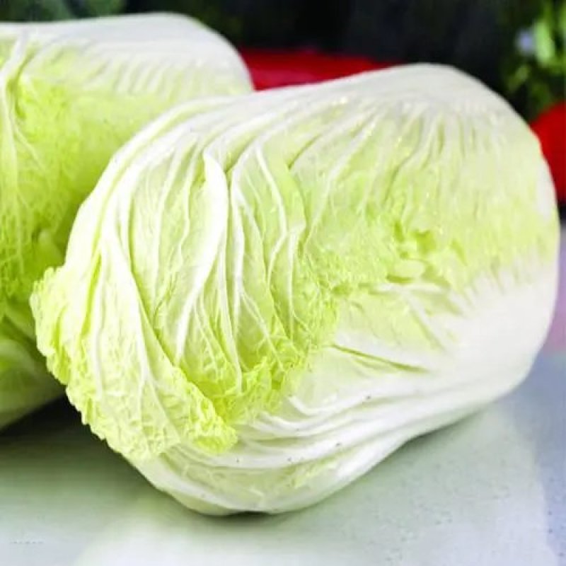 黄心有机绿大白菜湖南黄心白菜产地直发实力代发全国