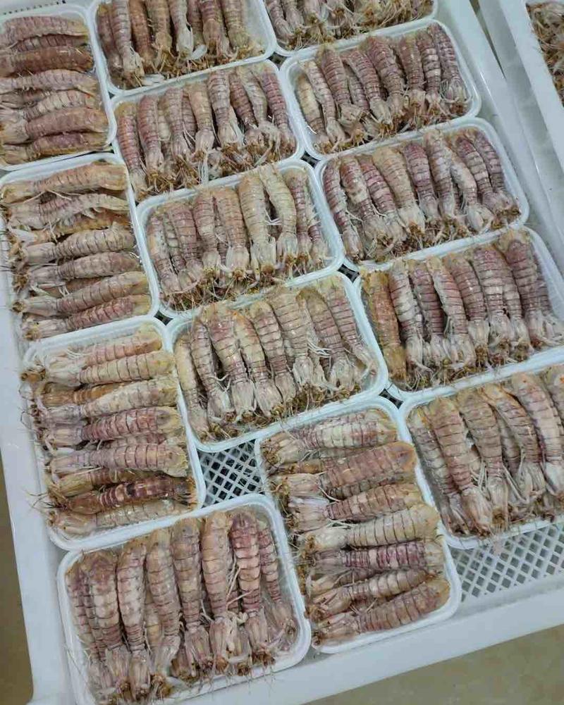 长爪皮皮虾膏虾肉虾