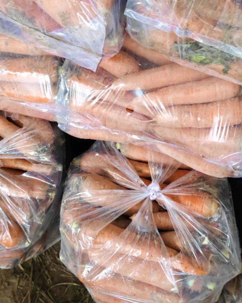 精品胡萝卜。产地直发货源充足保证质量祥符区