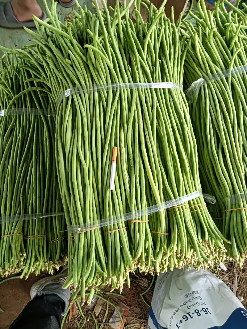 干豆小金豆