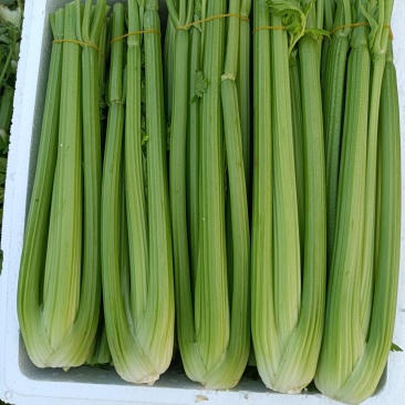 西芹