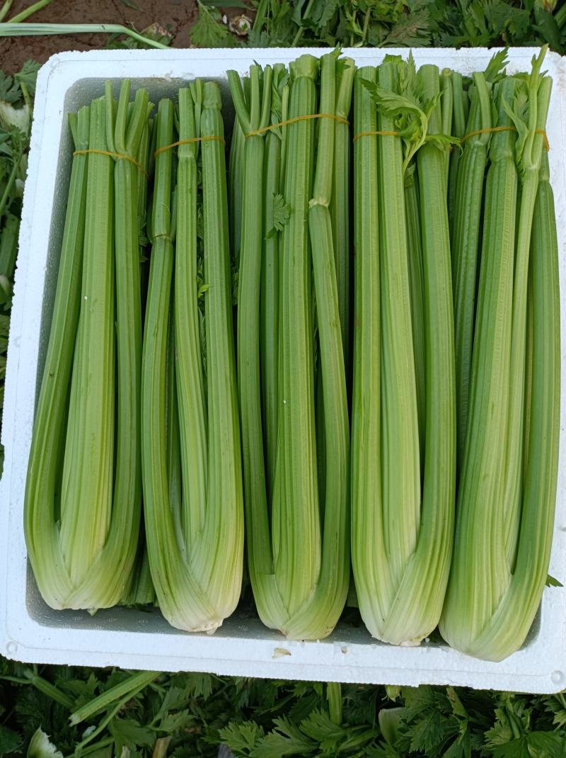 西芹