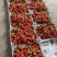 【草莓】甜查理草莓联盟草莓久香草莓品种齐全大量供应