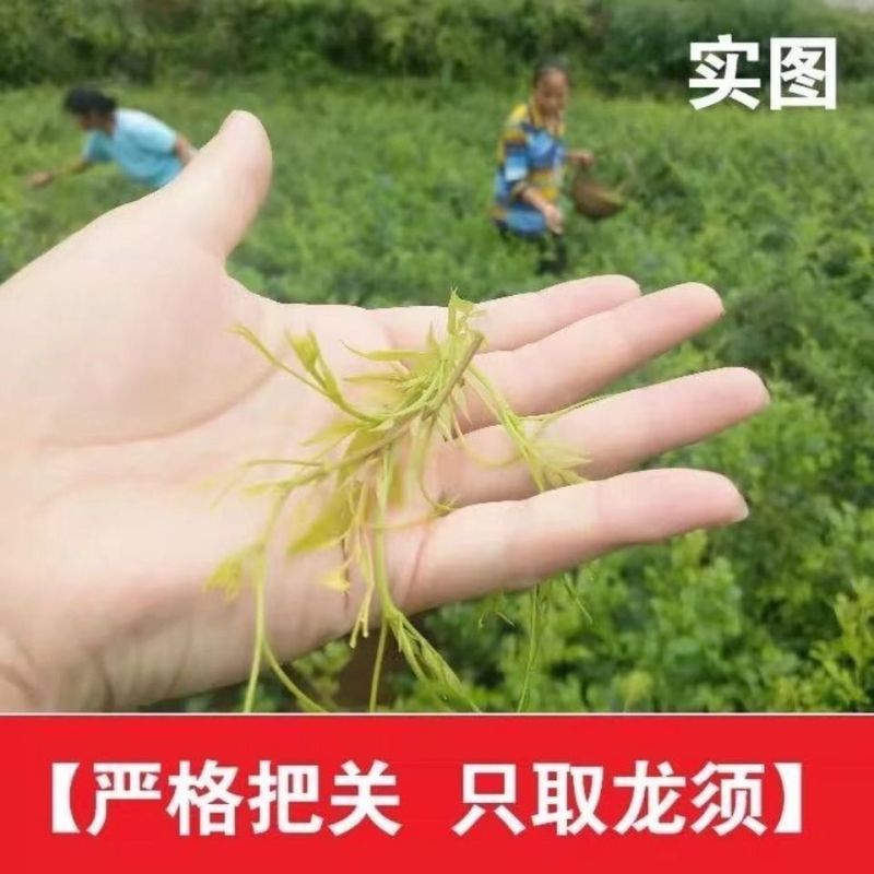 芽尖莓茶张家界藤茶野生莓茶正品龙须霉茶永顺土家莓茶