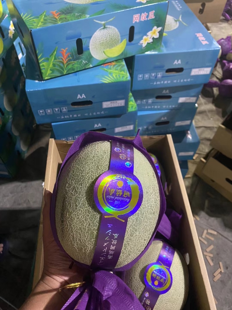 精品哈密瓜，甜度高，口感脆甜，个大，价格实惠产地直发，