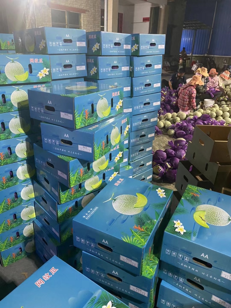 精品哈密瓜，甜度高，口感脆甜，个大，价格实惠产地直发，