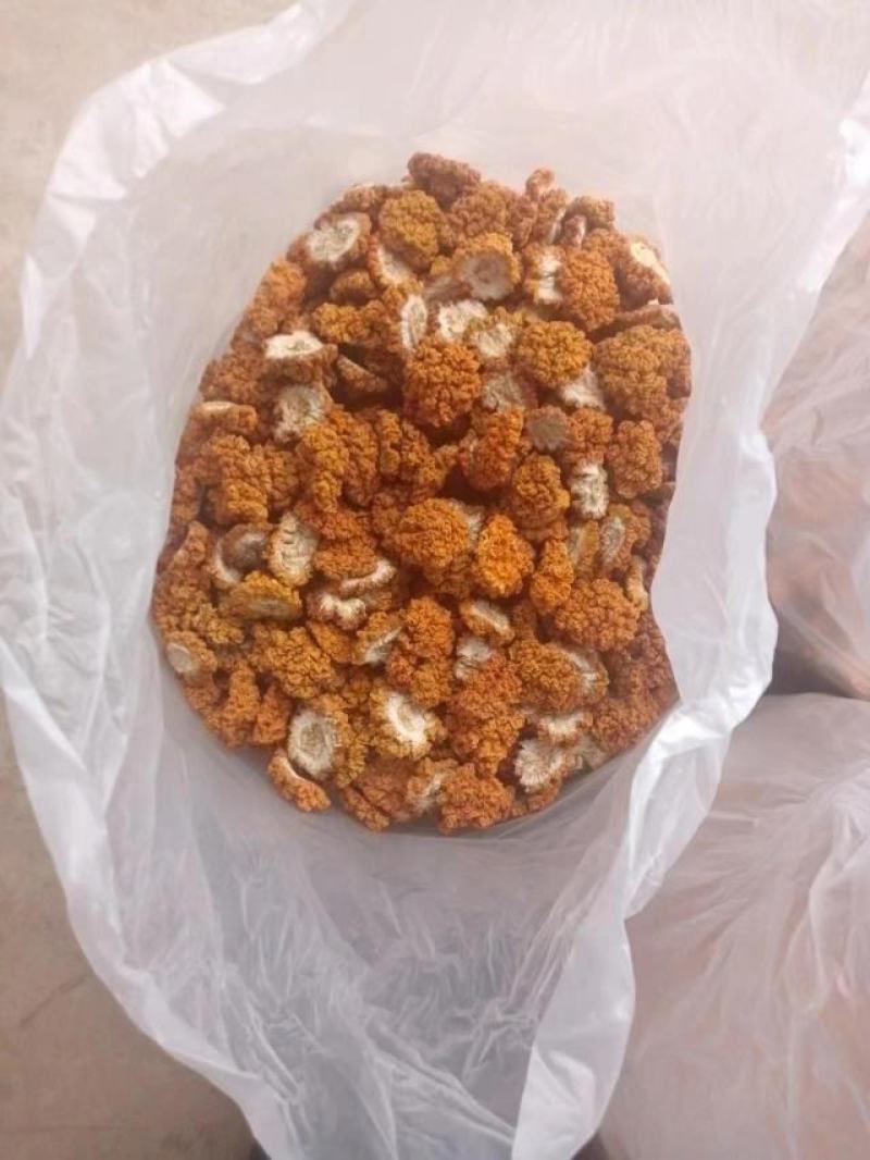 基地直供金耳，产地直发，货源充足品质保证，全国发货