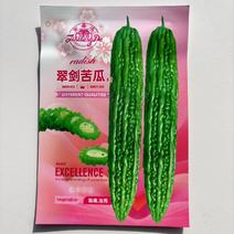 苦瓜种子油绿青秀苦瓜种子早熟丰产抗病耐热肉厚翠绿色的苦瓜