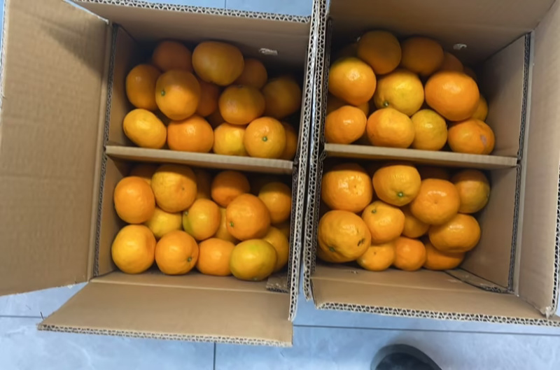 石门柑橘可代发