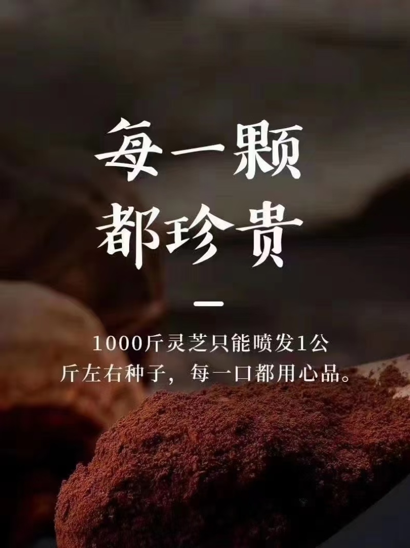 有机灵芝孢子粉孢子粉灵芝孢子粉全国发货支持一件代发