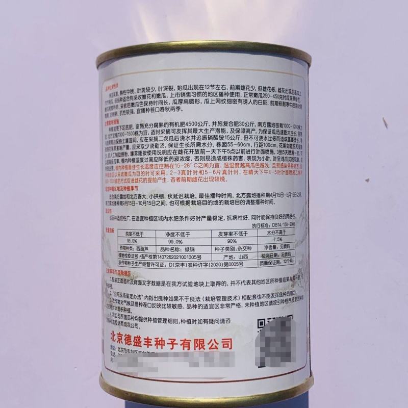绿珠F1西葫芦种子中晚熟圆形西葫芦耐寒抗逆春秋抗病高产占