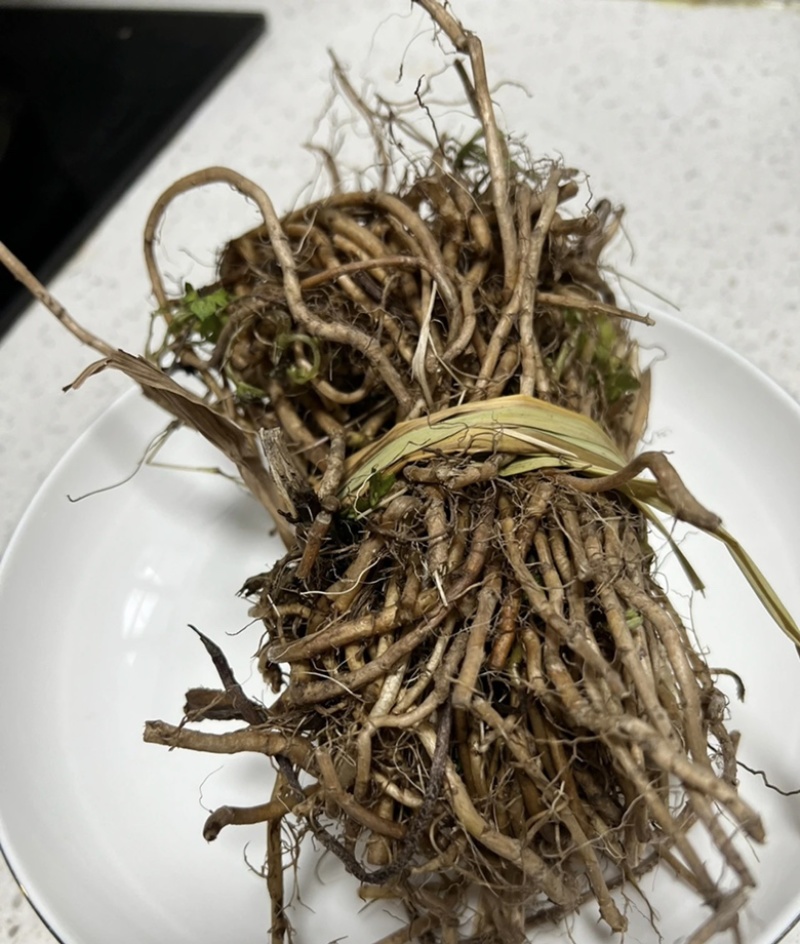 【精选】河南优质艾草根基地直发价格优惠可长期合作欢迎来电