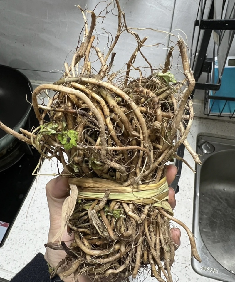 【精选】河南优质艾草根基地直发价格优惠可长期合作欢迎来电