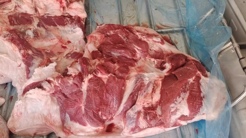 土猪肉，对接全国市场，量大从优，新鲜宰杀欢迎采购