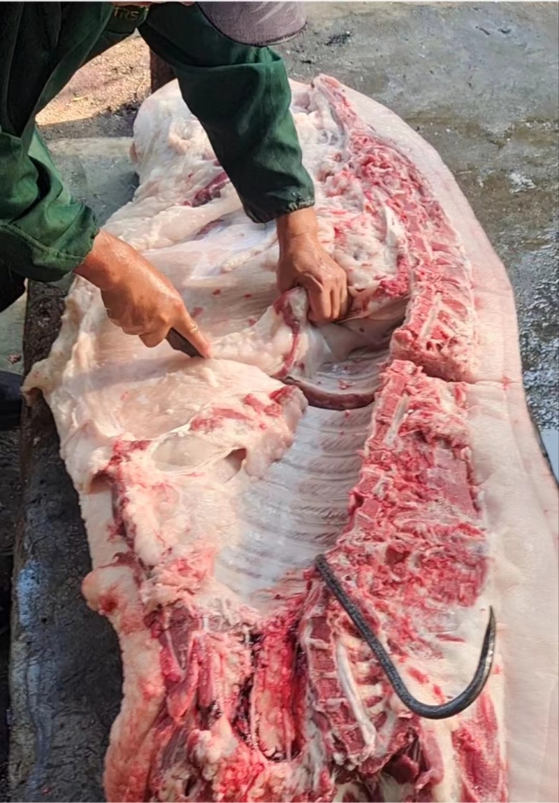 土猪肉，对接全国市场，量大从优，新鲜宰杀欢迎采购