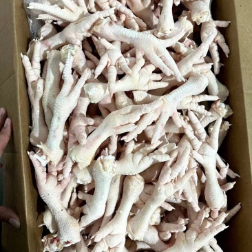 肉食鸡鸡爪