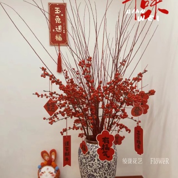 北美冬青，雪柳，珍珠李，红柳腊梅等一件代发