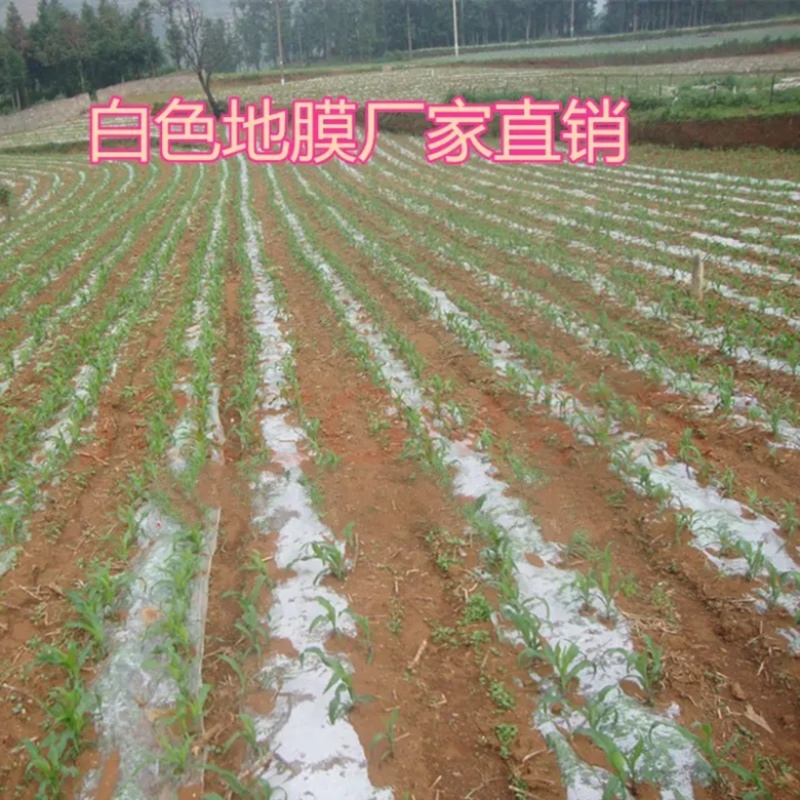 农用白色地膜，小拱棚膜专用