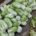 【白菜】黄心白菜，诚信代办，合作共赢，量大优惠，欢迎来电
