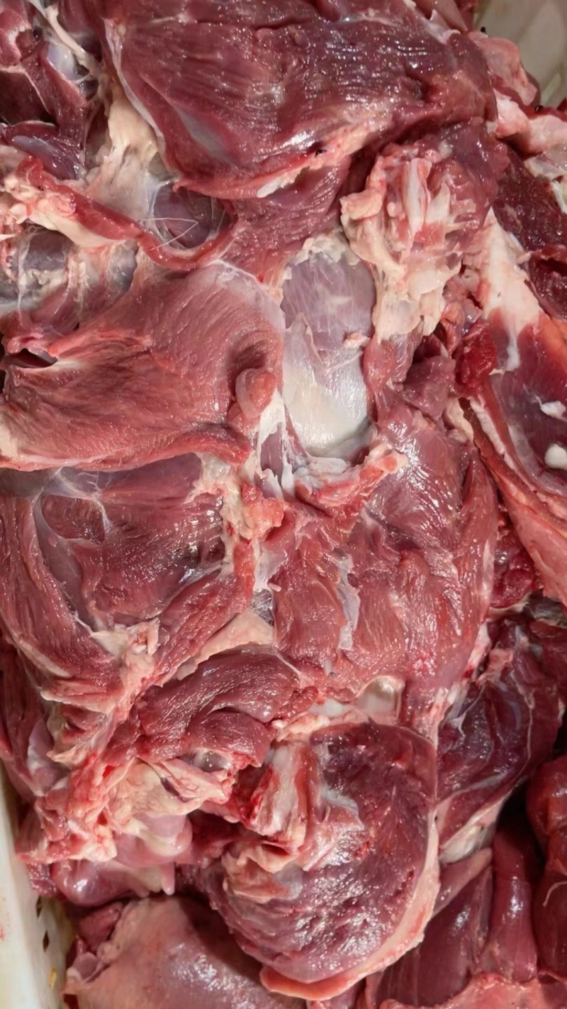 去骨羊肉，新剔纯干无水大羊前后腿肉制作，现货大量供应！