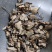 蔷薇根野蔷薇根有大货需要拍下，一公斤起售