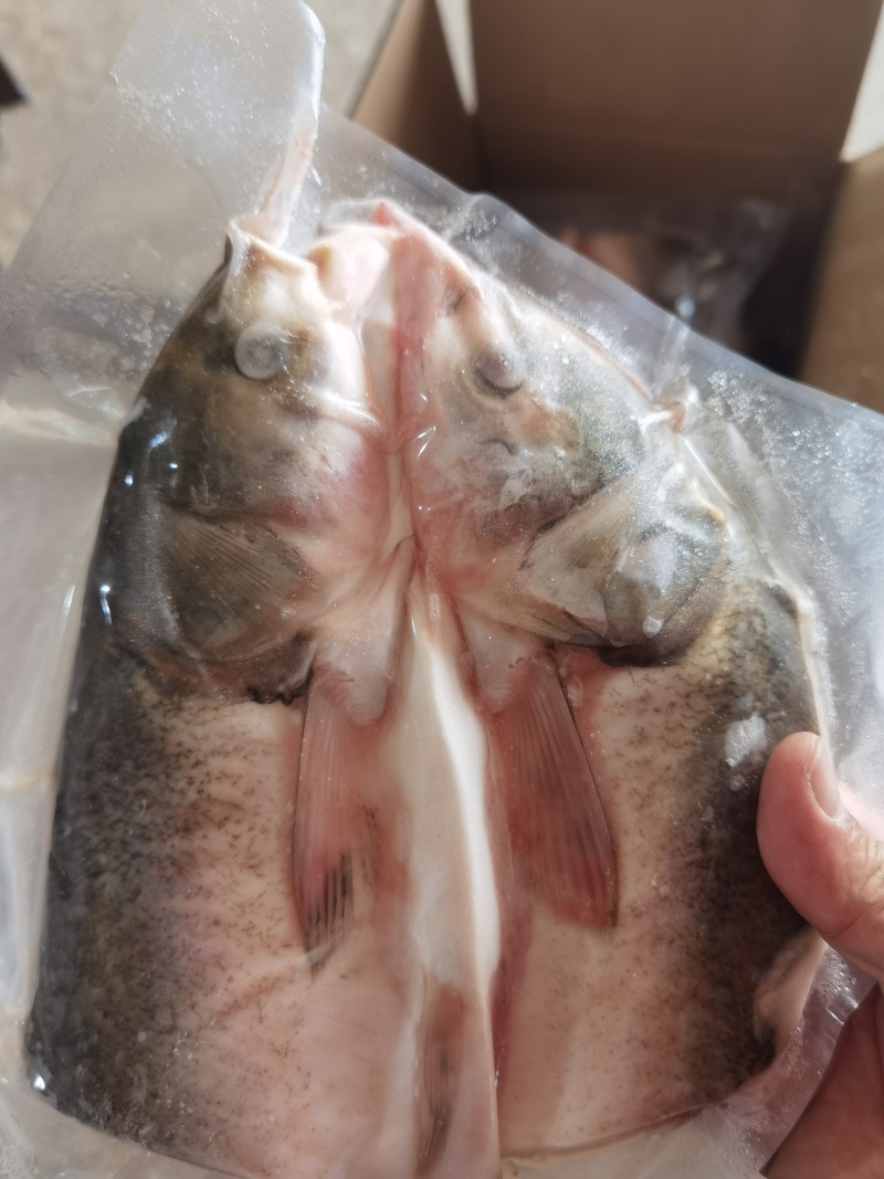白鲢鱼头