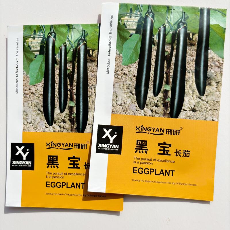 黑宝长茄种子茄子种子紫黑茄子种籽黑宝长茄种子农家大田种