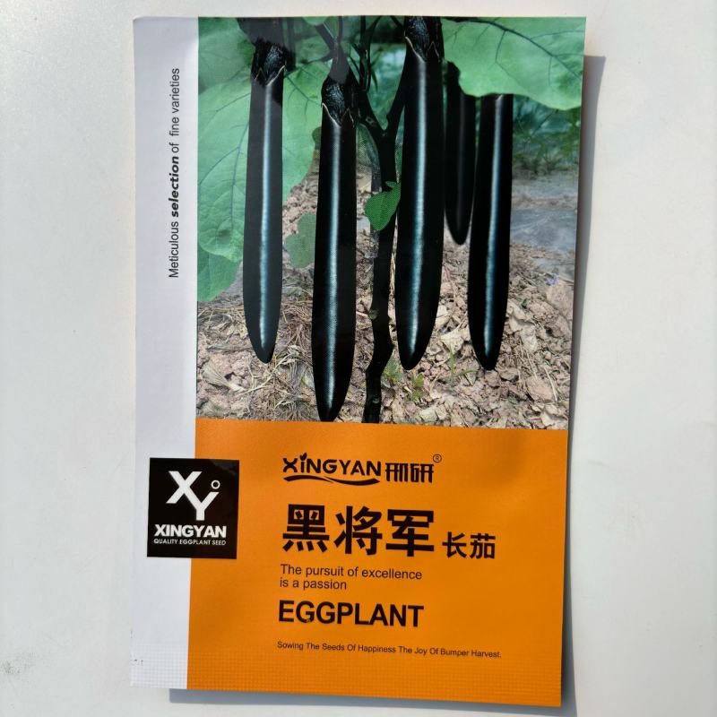 黑宝长茄种子茄子种子紫黑茄子种籽黑宝长茄种子农家大田种