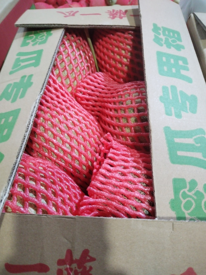 哈密瓜