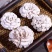白参菌菌棒工厂直销批发