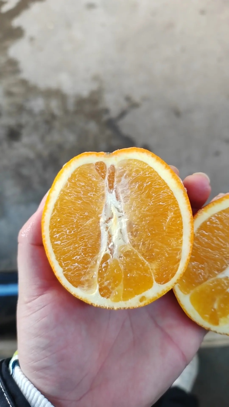 【橙子】纽荷尔脐橙皮薄肉多入口化渣货源充足欢迎咨询