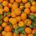 《实力》沙糖桔广西精品砂糖橘大量上市质量保证