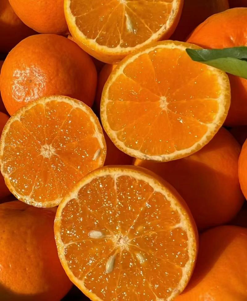 《实力》广西柑橘精品沃柑大量上市口感甜货源充足