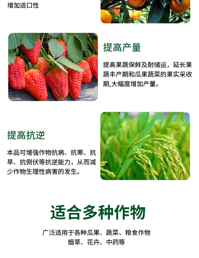 中微量元素水溶肥钙镁锌铁硼防裂果冲施肥