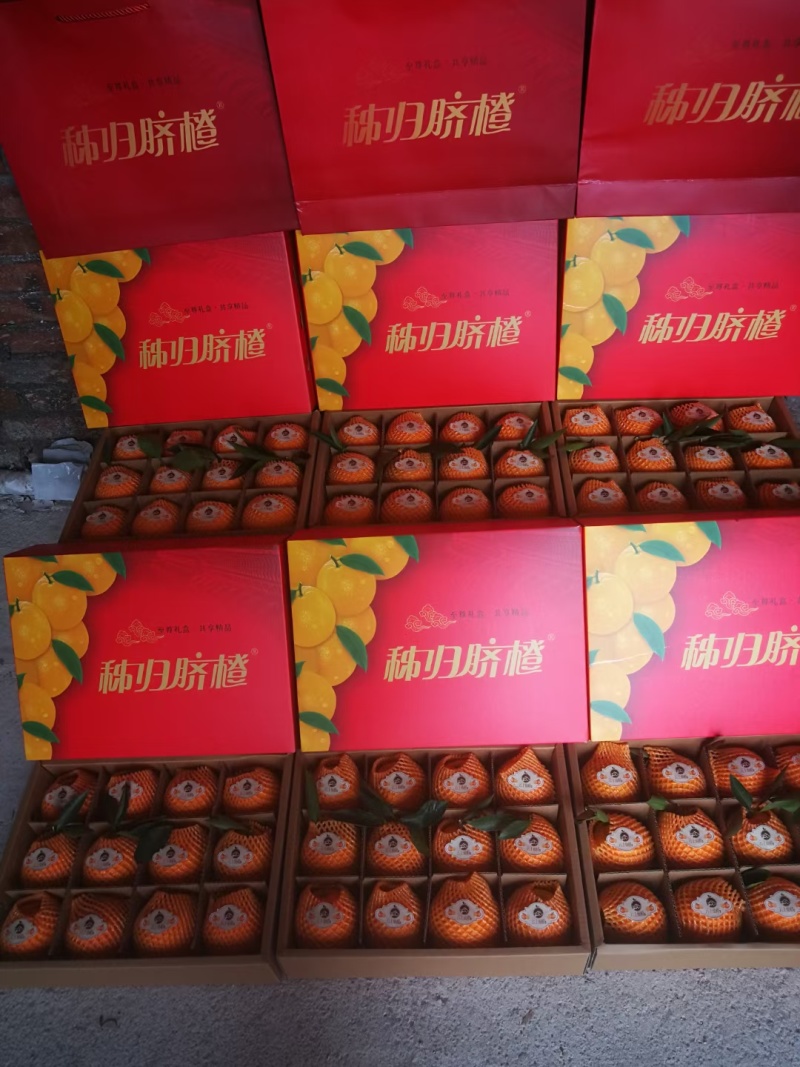 湖北秭归中华红血橙产地直供货源充足支持电商一件代发