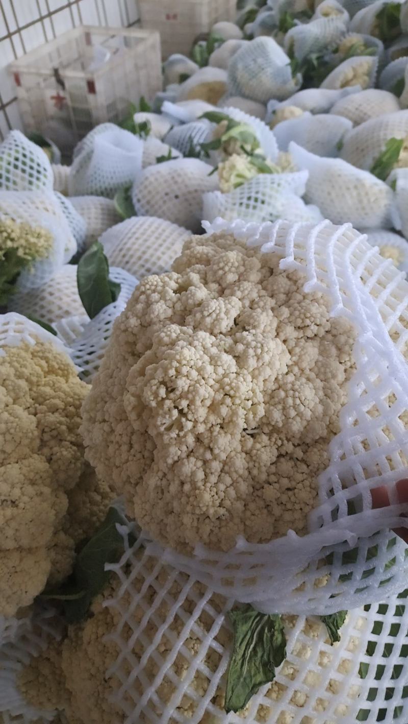 有机花菜