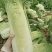 竹筒菜