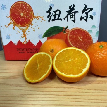 湖北秭归纽荷尔脐橙产地直供货源充足支持电商一件代发包邮