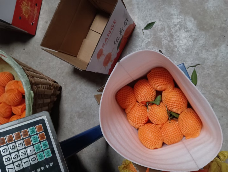 湖北秭归纽荷尔脐橙产地直供货源充足支持电商一件代发包邮