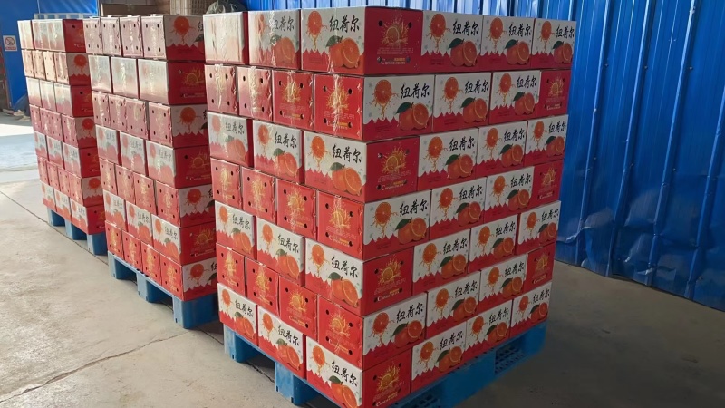 湖北秭归纽荷尔脐橙产地直供货源充足支持电商一件代发包邮