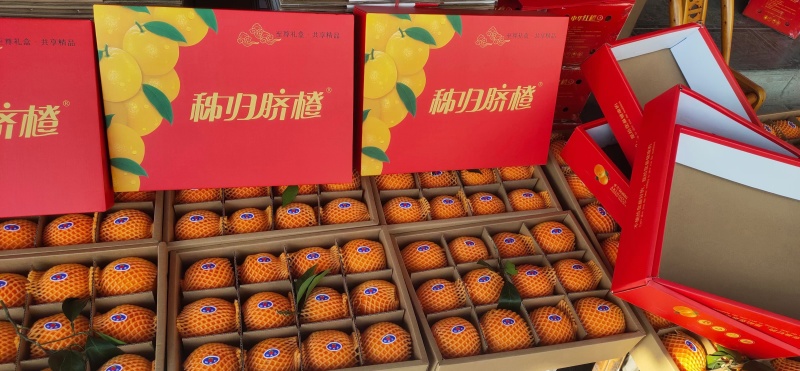 湖北秭归纽荷尔脐橙产地直供货源充足支持电商一件代发包邮
