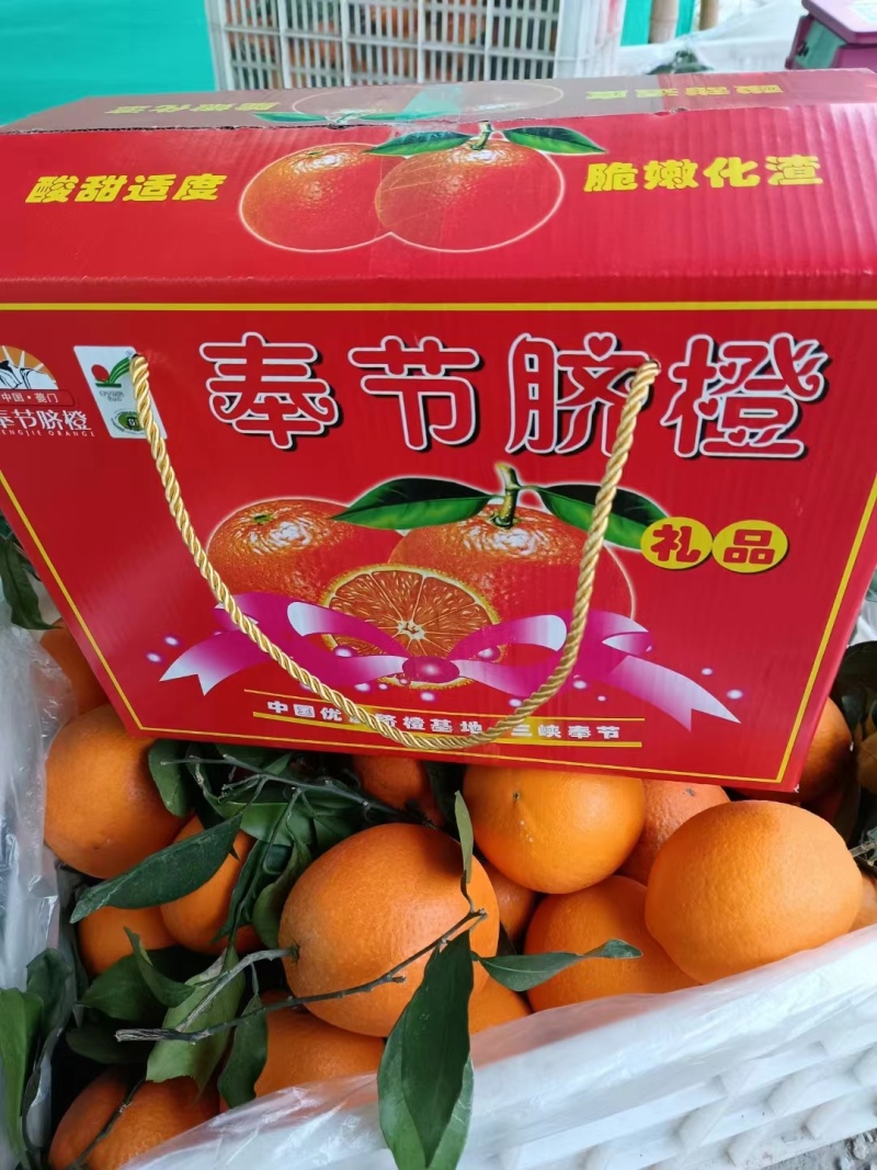 奉节脐橙电商果支持代发提供场地定制包装一条龙服务