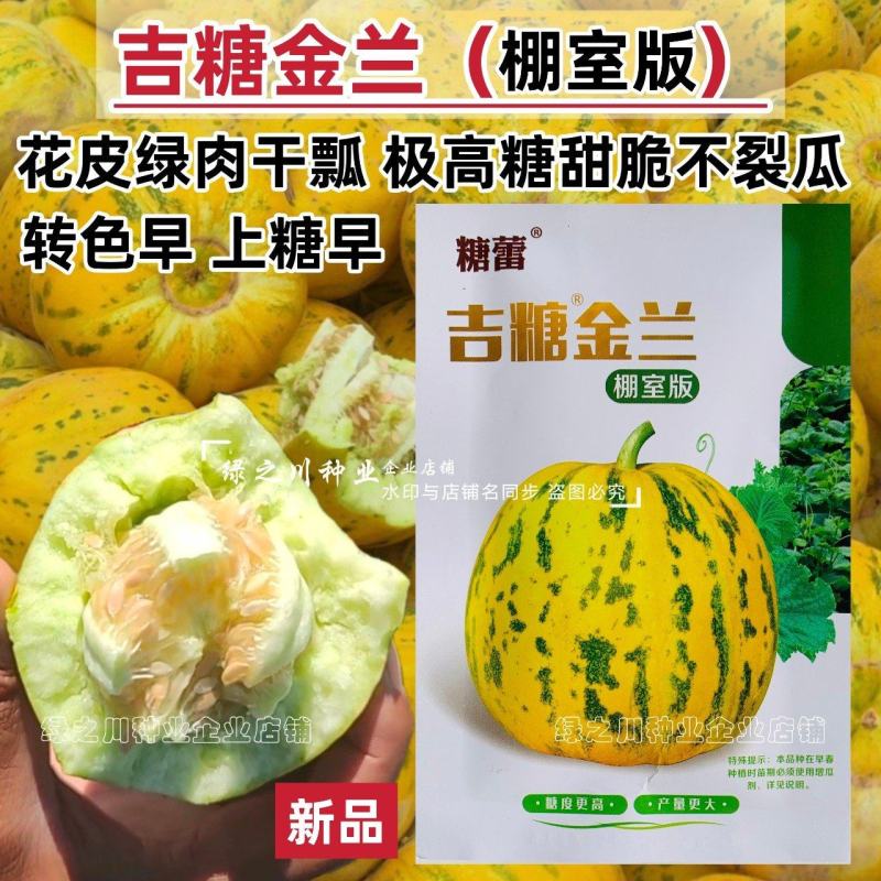 吉糖金兰甜瓜种子高糖花皮绿肉绿瓤糖蕾甜瓜种子干瓤耐裂早熟