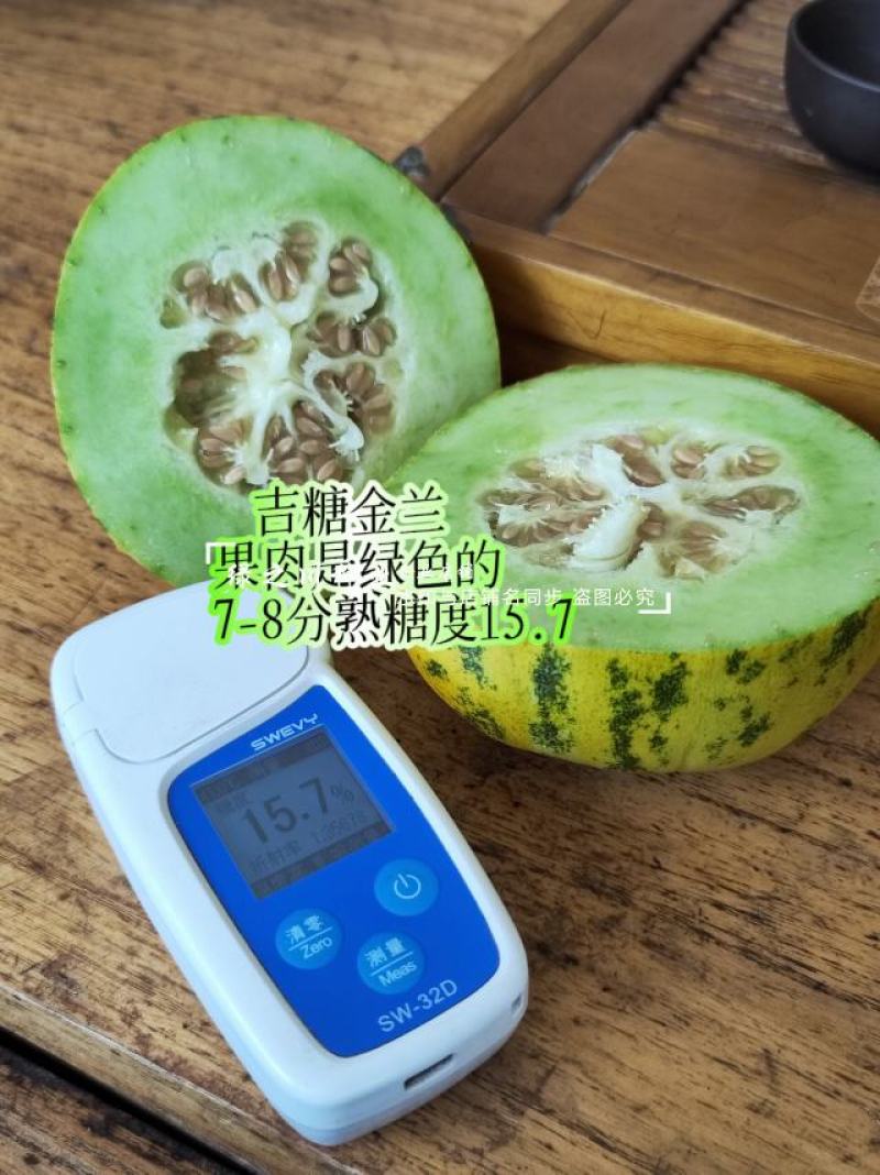 吉糖金兰甜瓜种子高糖花皮绿肉绿瓤糖蕾甜瓜种子干瓤耐裂早熟