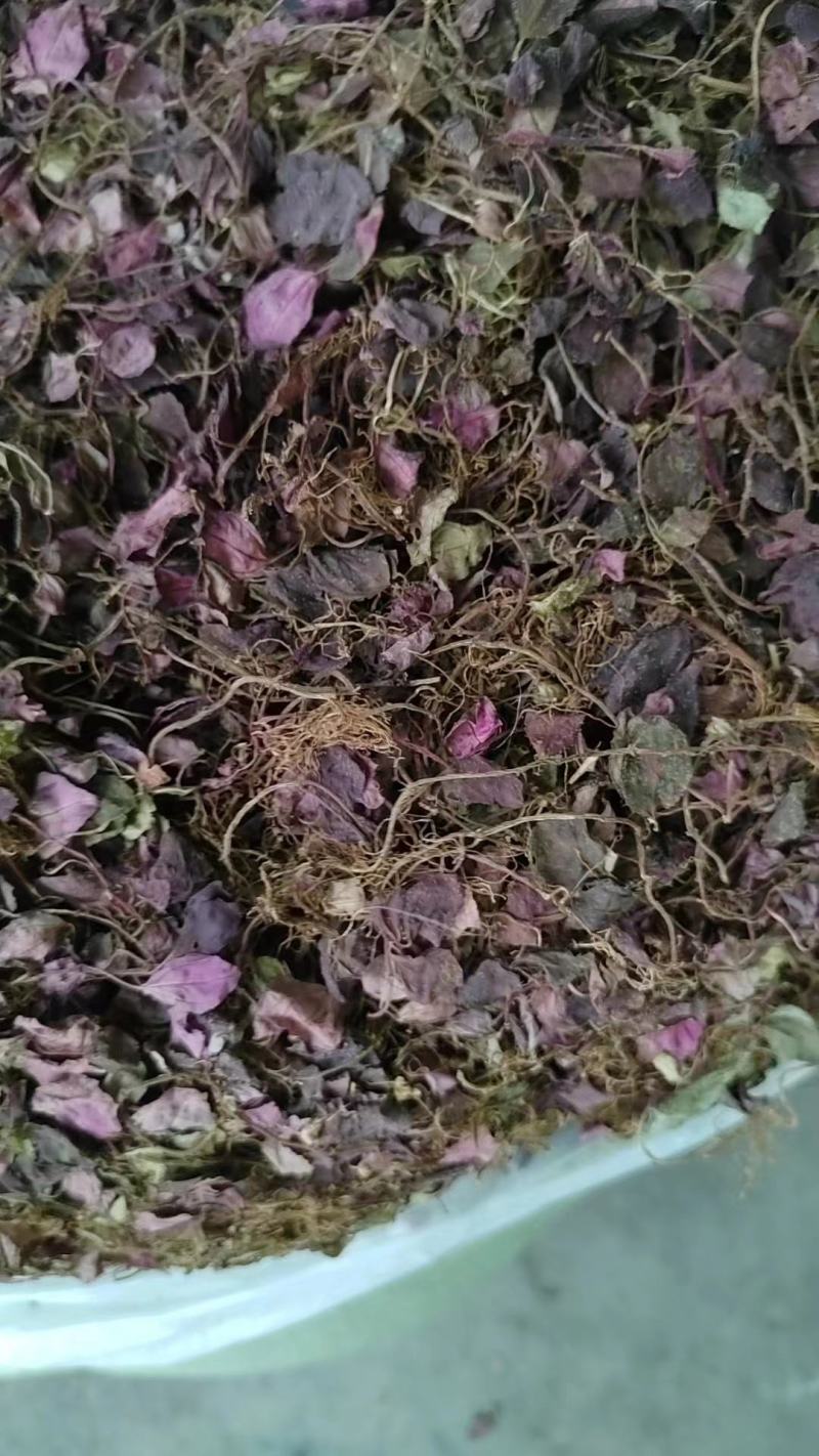 风柜斗草，四川发货