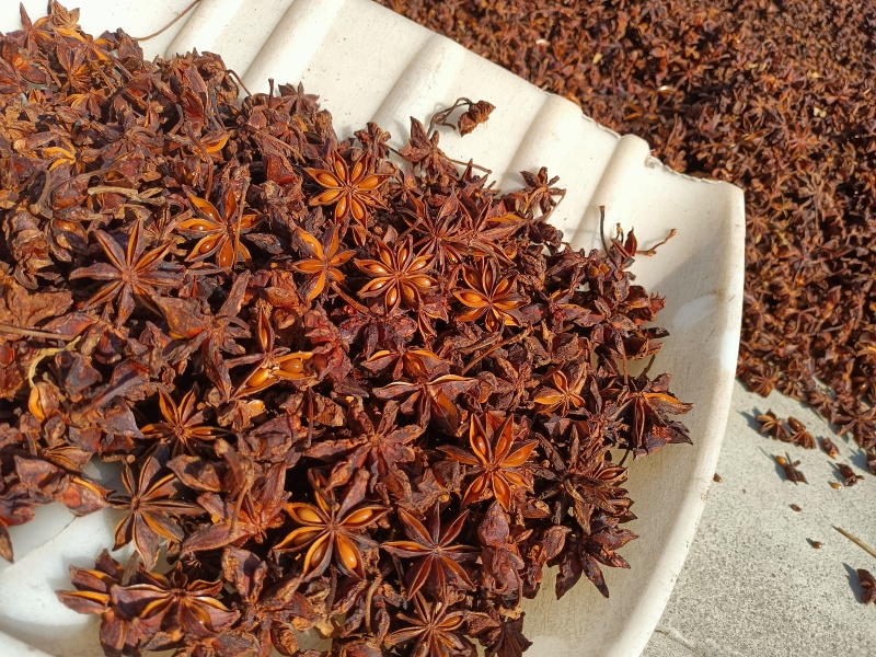 春花八角通货量大从优大量接单产地直发量大从优